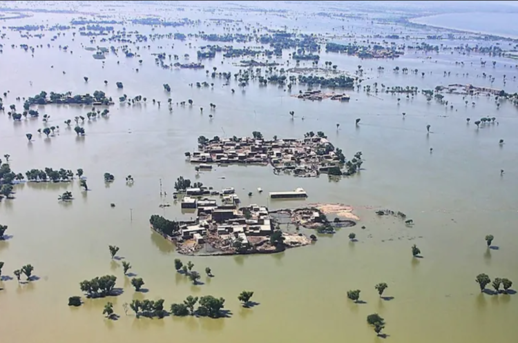 Floods 22: Unfolding Health Disaster in affected areas